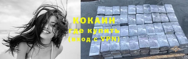 гидра Абаза
