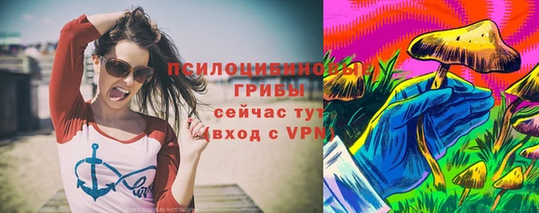 гидра Абаза