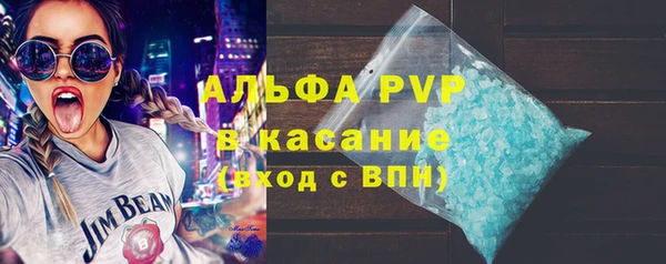 гидра Абаза