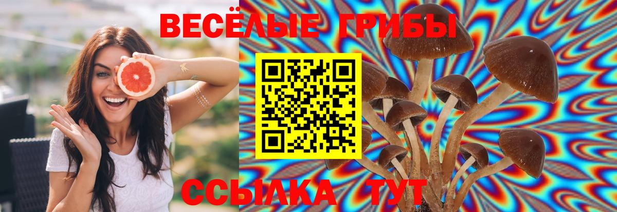 Отрадное  Галлюциногенные грибы мицелий  Вход с VPN  Галлюциногенные грибы MAGIC MUSHROOMS 
