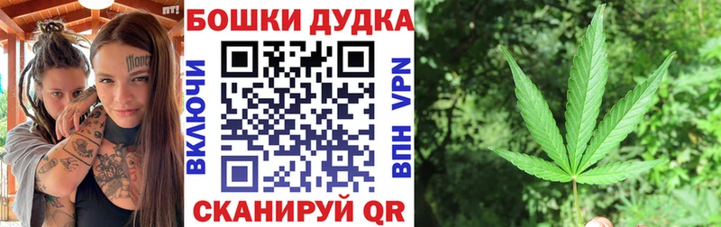 Каннабис OG Kush  Отрадное 